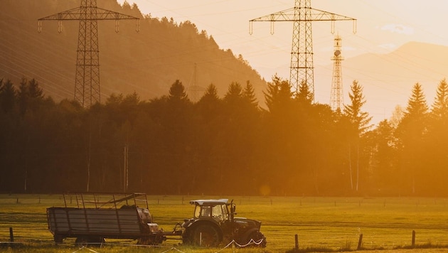 Landwirte leisten mit der Bewirtschaftung der Flächen einen wichtigen gesellschaftlichen ...