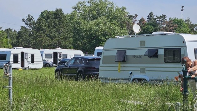 (Bild: zVg; Tierschutz Austria)