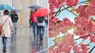 Nach dem Regen am Wochenende folgen sommerliche Temperaturen in ganz Österreich.