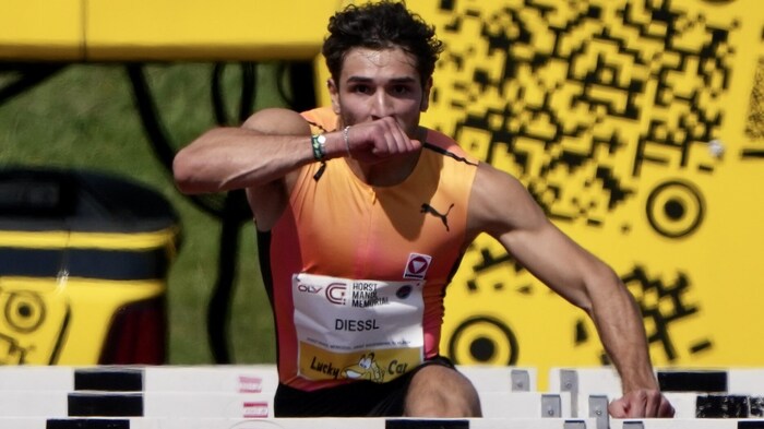 Enzo Diessl