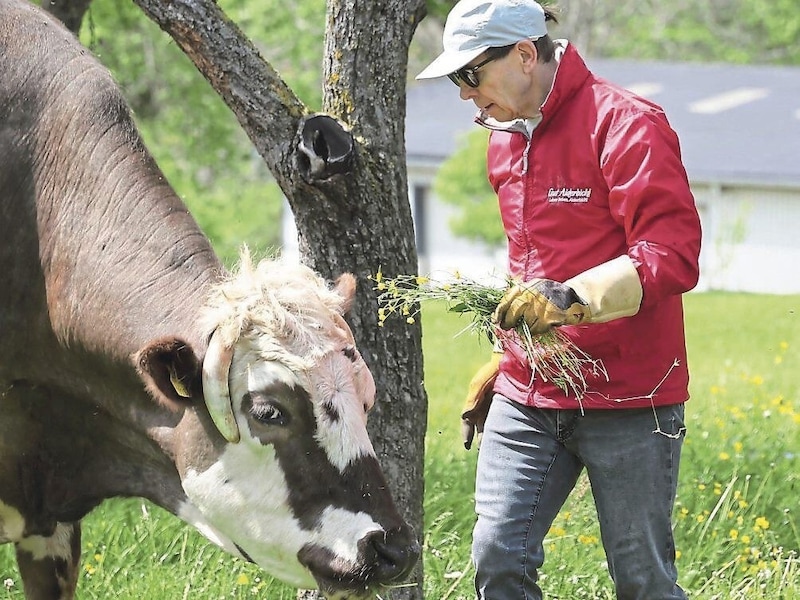 Rudi Mayer und sein „Martin“ im niederösterreichischen Hainbuch. (Bild: KRISTIAN BISSUTI)