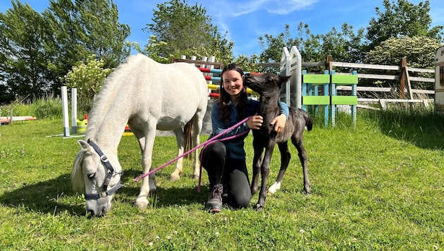 Hanna Neuberger az aranyos csikójával, "Little Hollyval" és anyukájával, "Miss Maggie-vel". (Bild: Petra Klikovits)