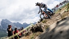 Der steirische Mountainbiker Andreas Kolb war mit EM-Gold einer der erfolgreichsten Radsportler ...