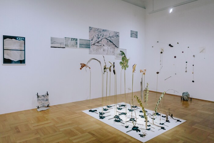 „Assisted Garden“ von Andrea Acosta