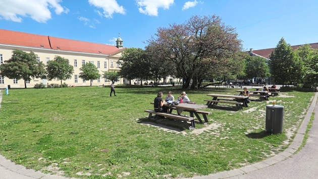 Das Alte AKH ist nicht nur bei Studenten beliebt. Die Höfe bieten viel Platz und Grünflächen. Doch aus Sicherheitsgründen werden diese jetzt in den Nachtstunden gesperrt. (Bild: Jöchl Martin)