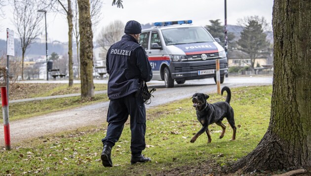 Neben der Bluttat in der Schießstattstraße kam es zu einer zweiten im Lehener Park: In diesem Fall wird noch ermittelt (Bild: Tschepp Markus)