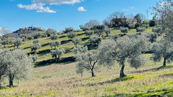 House and land in Tuscany.