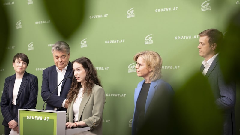 The Greens made the wall for Schilling - albeit somewhat clumsily ... (Bild: APA/TOBIAS STEINMAURER)