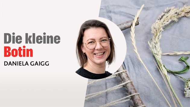 (Bild: Krone kreativ/Daniela Gaigg/canva)