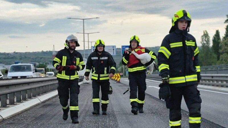 (Bild: Freiwillige Feuerwehr Palt)