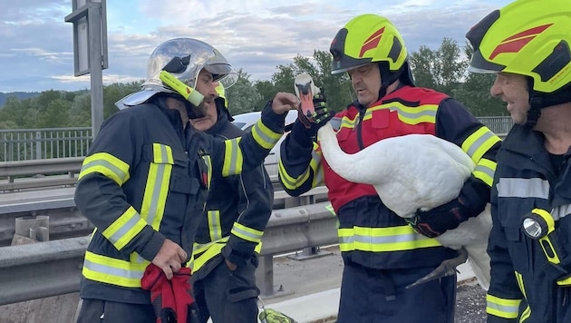 (Bild: Freiwillige Feuerwehr Palt)