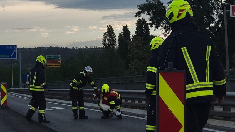 (Bild: Freiwillige Feuerwehr Palt)