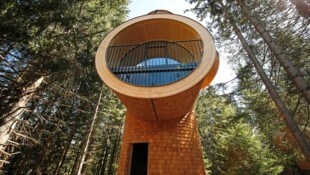 Ziel einer der Landpartien: die Baumhäuser am Pogusch