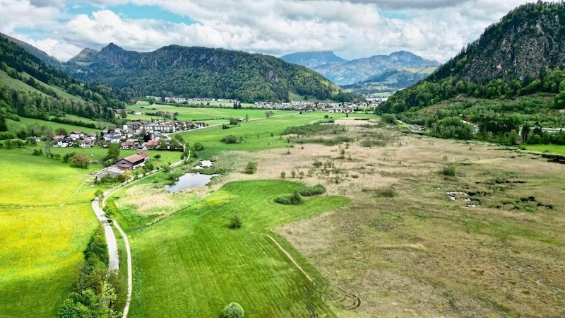 Die Schwemm bei Walchsee, Tirols größtes Moorgebiet. (Bild: Silberberger Toni)