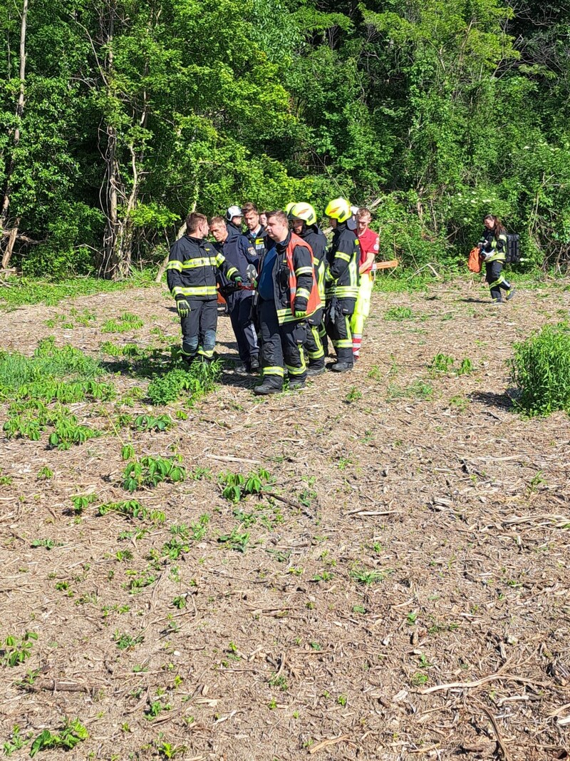 (Bild: Feuerwehr Mannersdorf-Leithagebirge)