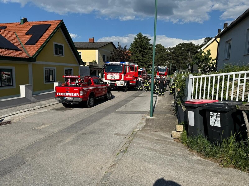 (Bild: Feuerwehr Mannersdorf-Leithagebirge)