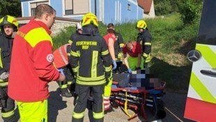 Florianis eilten der Dame rasch zu Hilfe. (Bild: Feuerwehr Mannersdorf-Leithagebirge)