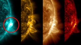 Am Mittwoch gab es eine Eruption (rot markiert) der Stärke X8,7 aus einer Sonnenfleckengruppe namens AR 3664. (Bild: NASA/SDO)