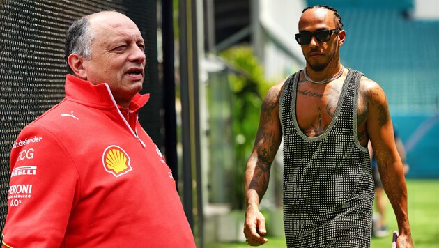 Frederic Vasseur (l.) hat sich zur Personalie Lewis Hamilton (r.) geäußert. (Bild: GEPA/GEPA pictures, Photoshop)