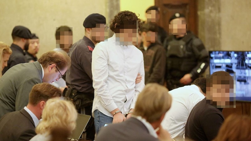 Kilenc tinédzser és fiatal felnőtt ül a vádlottak padján a nagy esküdtszék tárgyalótermében. (Bild: Bartel Gerhard/Gerhard Bartel, Krone KREATIV)