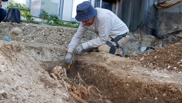 Monatelang waren Fachleute 2023 mit den Ausgrabungen beschäftigt. Fein säuberlich wurden die menschlichen Überreste geborgen. (Bild: Tschepp Markus)