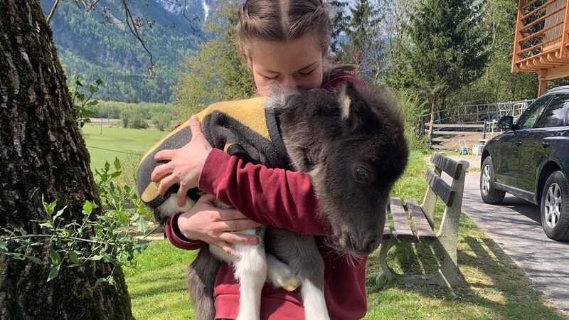 Melina Wuggonig will Macy unbedingt behalten – sie erlebte eine intensive Zeit. (Bild: Melina Wuggonig)