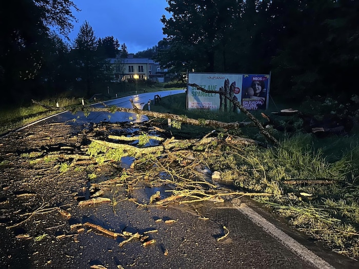 Ein großer Baum in Thal flog wegen Starkregens auf die Straße.