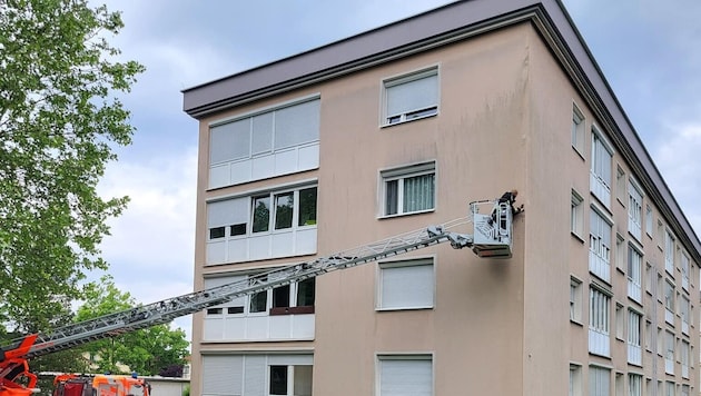 Die Feuerwehr konnte die Vögel nur noch leblos bergen. (Bild: Berufsfeuerwehr Klagenfurt)