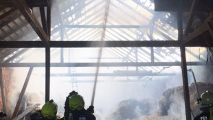 Bei dem Brand waren insgesamt 107 Feuerwehrleute im Einsatz. (Bild: AP/BFKDO AMSTETTEN / FF WEISTRACH)