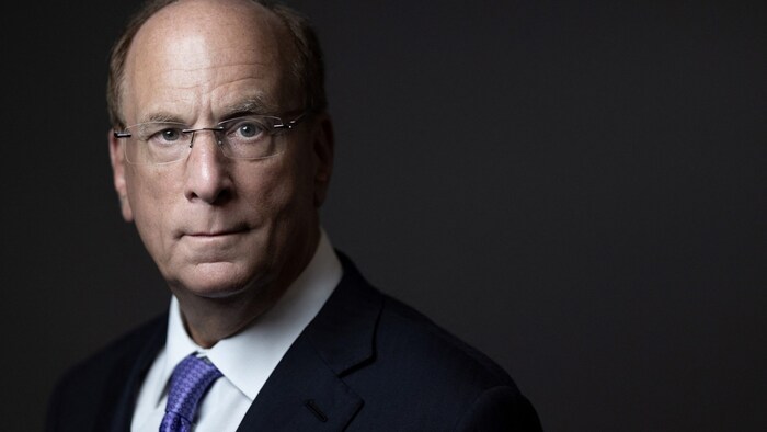 BlackRock-CEO Larry Fink