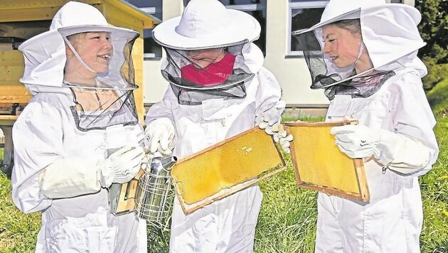 Perfekt geschützt mit voller Imker-Montur: Simone, Magdalena und Sara (Bild: Holitzky Roland)