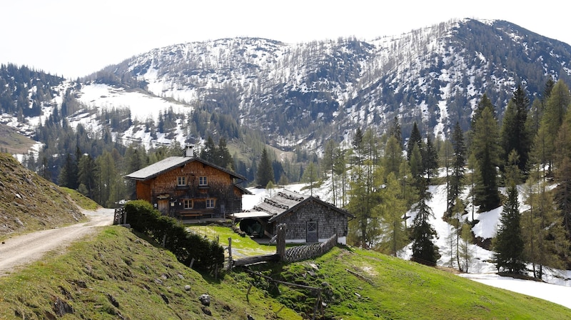 The alp is part of the Mitterbergalpe alp community in Werfenweng. (Bild: Gerhard Schiel)