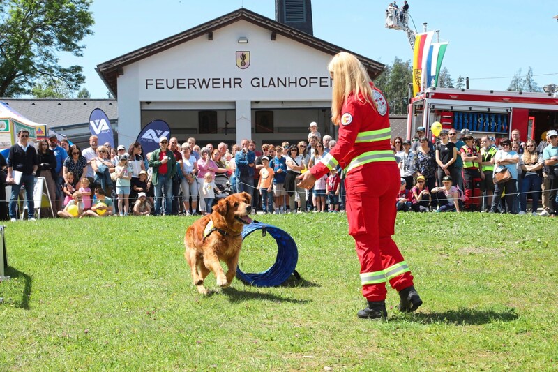 Rettungshund Ivo und und Frauerl Cornelia Friesser (Bild: Rojsek-Wiedergut Uta/Uta Rojsek-Wiedergut)