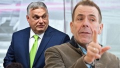 Von links: Ungarns Ministerpräsident Viktor Orbán und FPÖ-Delegationsleiter Harald Vilimsky (Bild: APA/GEORG HOCHMUTH, AFP/Attila KISBENEDEK, Krone KREATIV)