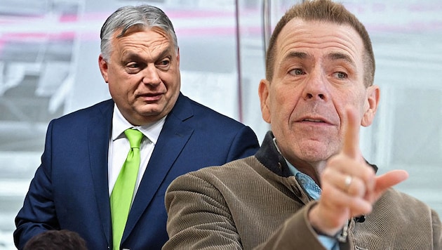 Balról: Orbán Viktor magyar miniszterelnök és Harald Vilimsky, az FPÖ delegációvezetője. (Bild: APA/GEORG HOCHMUTH, AFP/Attila KISBENEDEK, Krone KREATIV)