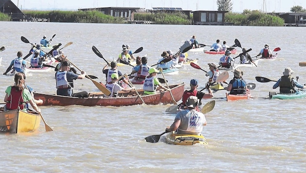 „Ahoi, Neusiedler See“ – hieß es für die Kajaks und Kanus beim Start in der Ruster Bucht. (Bild: Reinhard Judt)