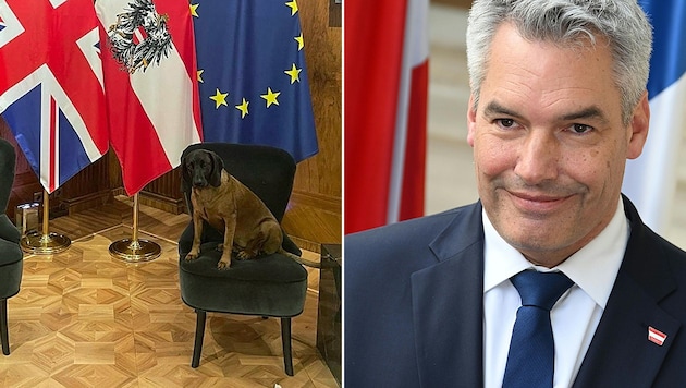 "Fanny" kutyát már gyakorolták a brit miniszterelnök látogatására. (Bild: APA/instagram/Karl Nehammer, APA/HELMUT FOHRINGER)