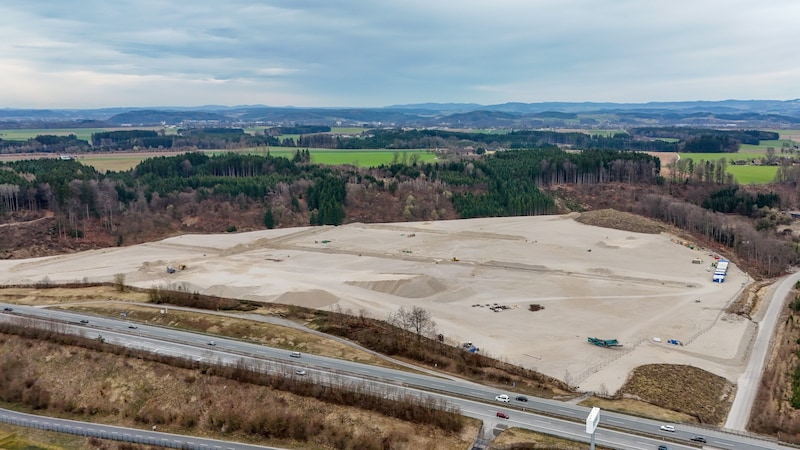 Direkt neben der A1 wurde ein ganzer Wald gerodet. Dort werden derzeit Hallen errichtet.  (Bild: Dostal Harald/© Harald Dostal / 2024)