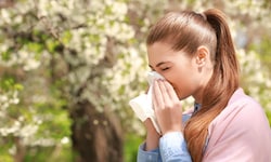 Die Atempausen für Allergiker werden immer kürzer – Schuld daran ist vor allem der Klimawandel.