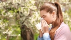 Die Atempausen für Allergiker werden immer kürzer – Schuld daran ist vor allem der Klimawandel. (Bild: stock.adobe.com)