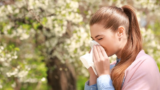 Alles blüht und wächst: Was für manche die schönste Zeit des Jahres ist, ist für Allergiker oft höchst unangenehm. (Bild: stock.adobe.com)