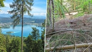 Für den schönen Ausblick muss man einige Hürden überwinden.