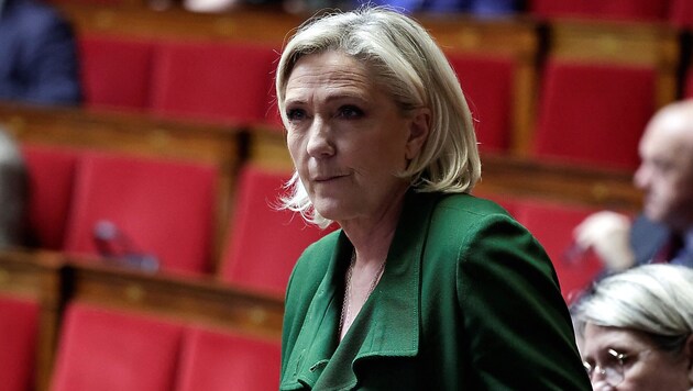 Marine Le Pen finds the AfD's policies too radical. Her party is ending its cooperation with the Germans. (Bild: APA/AFP/STEPHANE DE SAKUTIN)