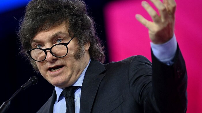 Argentiniens Präsident Javier Milei verteidigt ebenfalls Elon Musk.