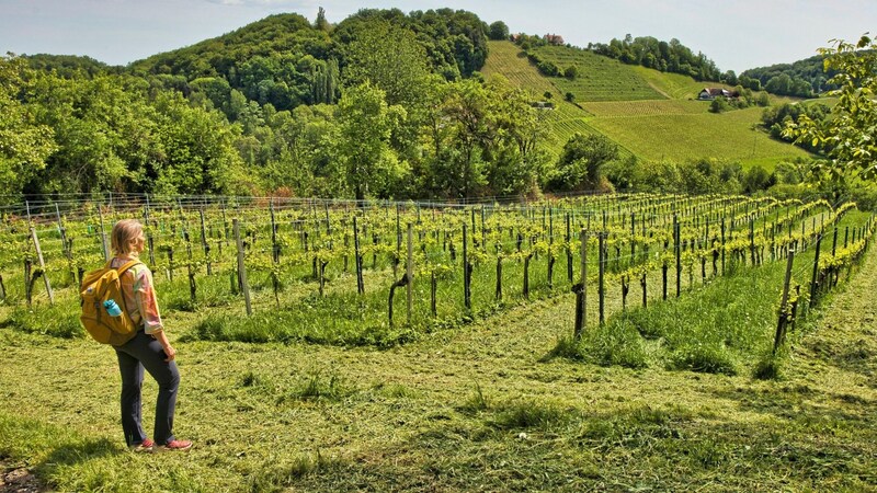 Malerische Südsteiermark (Bild: Weges)