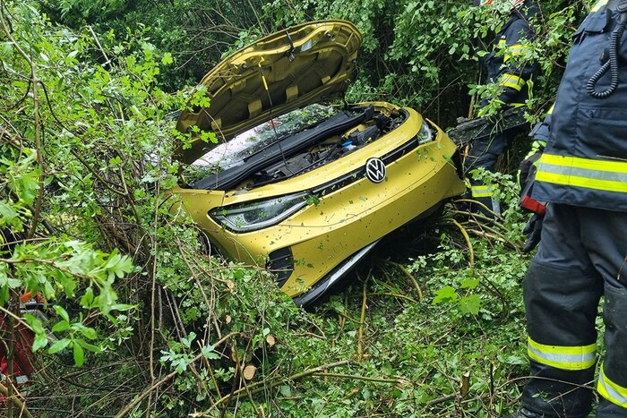 Die Feuerwehr musste sich zum Auto im Gebüsch erst vorarbeiten.