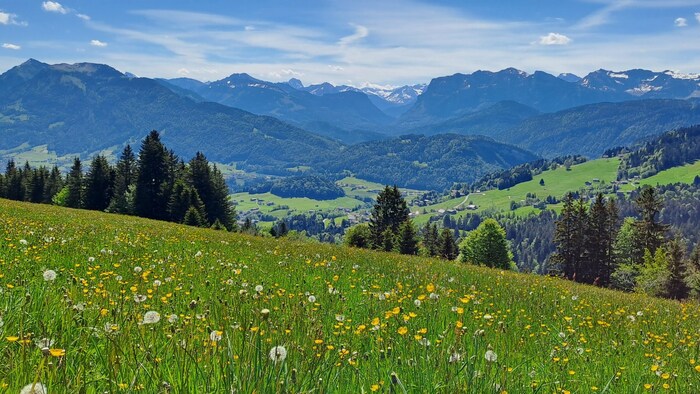 Grandiose Ausblicke und vielfältige Pflanzenwelt