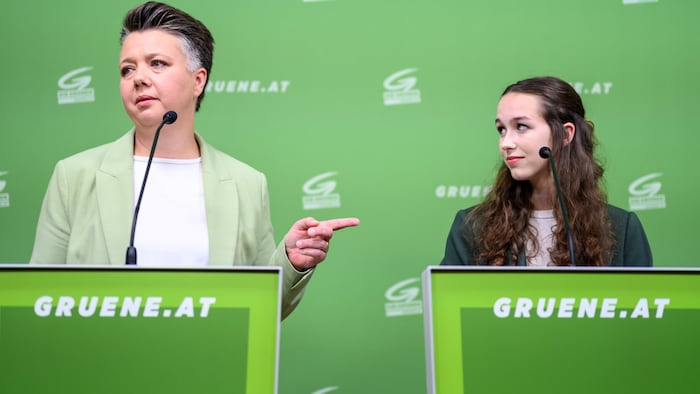 Die Grüne Olga Voglauer entschuldigte sich wegen Silberstein-Vergleich