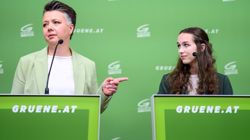 Die Grüne Olga Voglauer entschuldigte sich wegen Silberstein-Vergleich (Bild: APA/MAX SLOVENCIK)