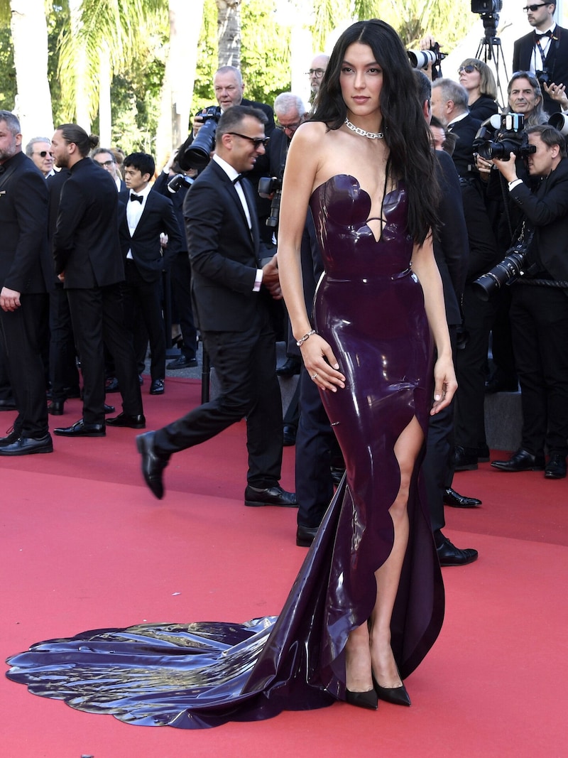 Mir walked the red carpet in this exciting dress last week in Cannes. (Bild: www.viennareport.at)